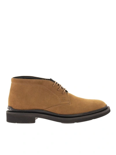 Shop Tod's Suede Desert Boots In Camel
