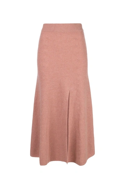 Shop Altuzarra 'darrell' Knit Skirt In Pink