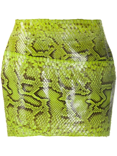 Shop Dolce & Gabbana Snakeskin Fitted Mini Skirt In Green