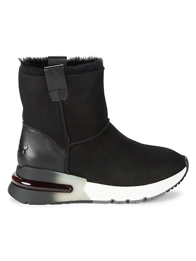 Shop Ash Leather, Suede & Shearling As-kyoto Ankle Boots