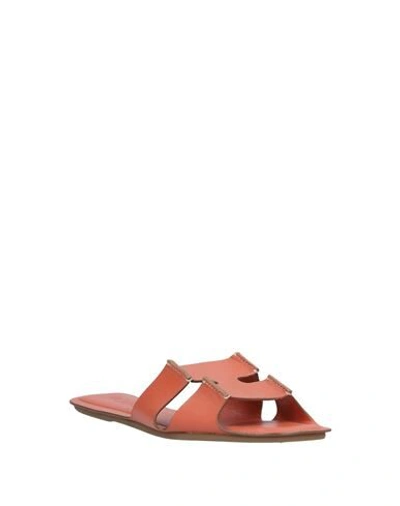 Rodo Sandals In Sand
