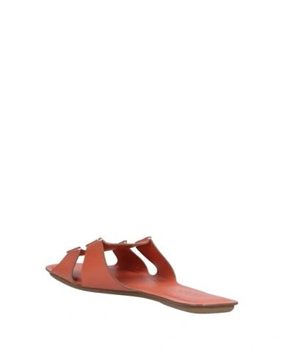 Rodo Sandals In Sand