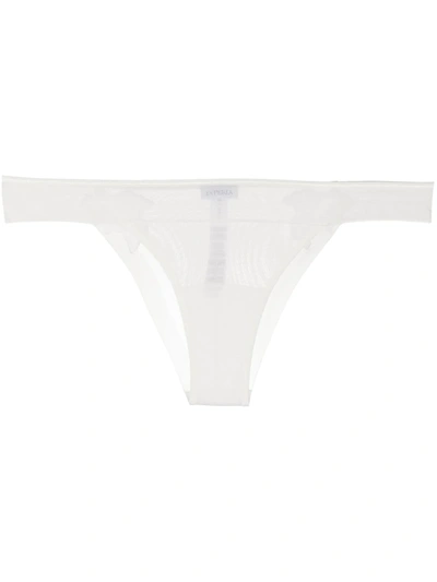 Shop La Perla Floral-embroidered Thong In White