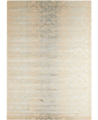 Shop Nourison Luminance Lum03 Beige 3'5" X 5'5" Area Rug