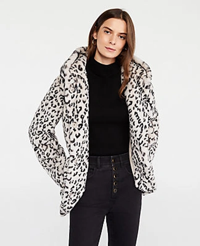 Shop Ann Taylor Leopard Print Faux Fur Coat In White Multi