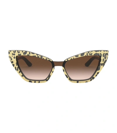 Shop Dolce & Gabbana Acetate Cat Eye Sunglasses