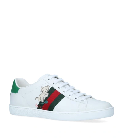 Shop Gucci Kitten-embroidered Ace Sneakers