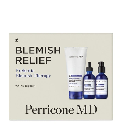 Shop Perricone Md Blemish Relief Kit In White