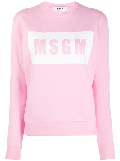 Shop Msgm Box Logo-print Sweatshirt In Pink