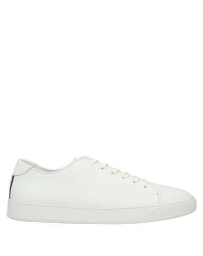 Shop Andrea Zori Sneakers In White