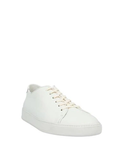 Shop Andrea Zori Sneakers In White