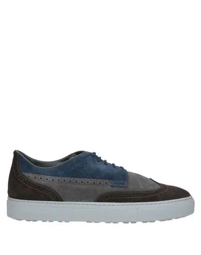 Shop Alberto Guardiani Sneakers In Dark Brown