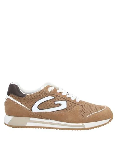 Shop Alberto Guardiani Sneakers In Camel