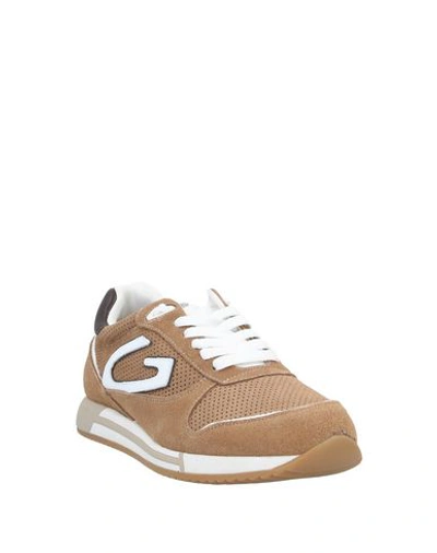 Shop Alberto Guardiani Sneakers In Camel