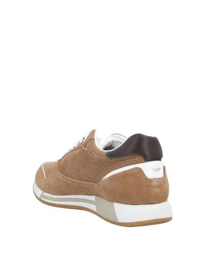 Shop Alberto Guardiani Sneakers In Camel