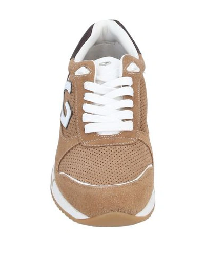 Shop Alberto Guardiani Sneakers In Camel