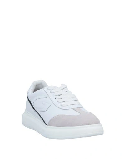 Shop Alberto Guardiani Sneakers In White