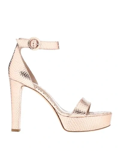 Shop Aldo Castagna Sandals In Light Pink