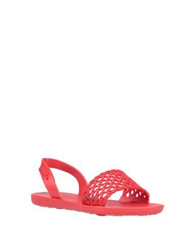 Shop Ipanema Sandals In Red