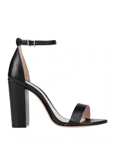 Schutz Sandals In Black