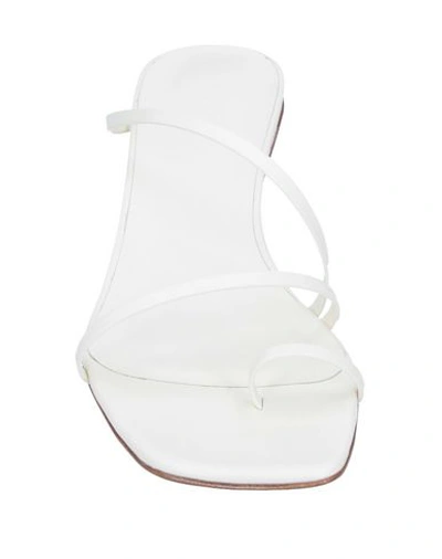 Shop Neous Sandals In White