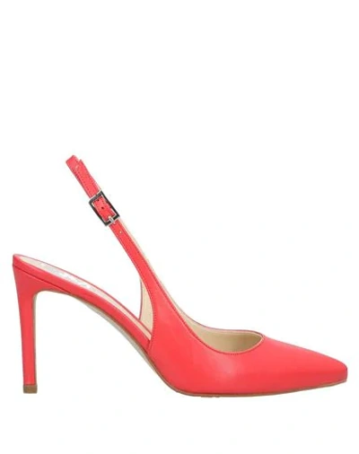 Shop Gianni Marra Pumps In Coral