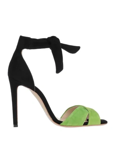 Shop Gianni Marra Sandals In Green