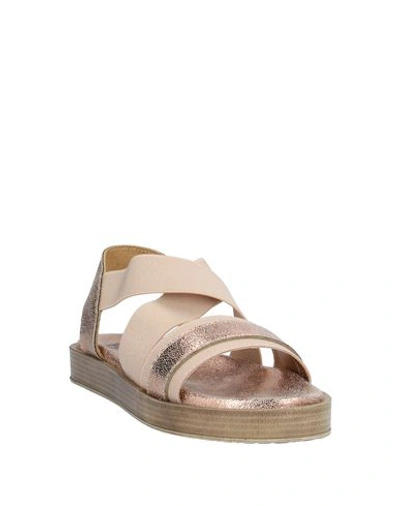 Shop Studio Pollini Sandals In Pale Pink