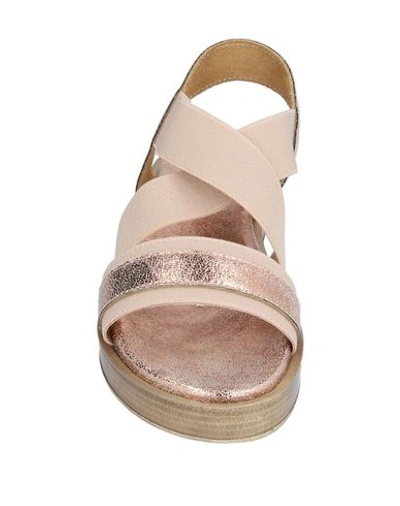 Shop Studio Pollini Sandals In Pale Pink