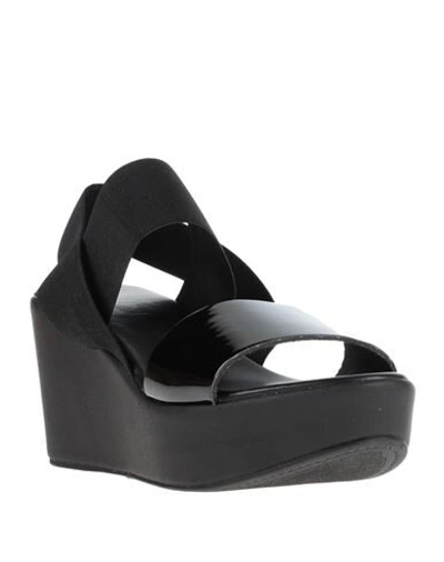 Shop Studio Pollini Sandals In Black