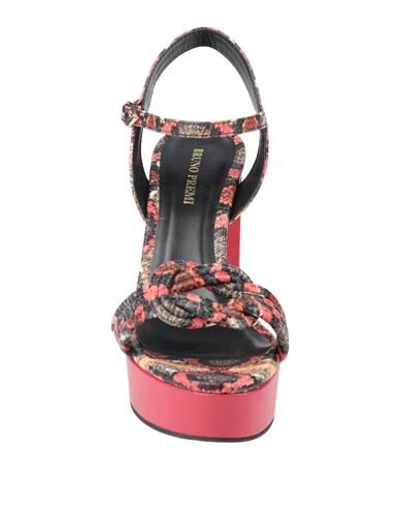 Bruno Premi Sandals In Red