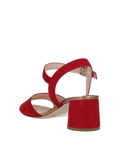 Shop Deimille Sandals In Red