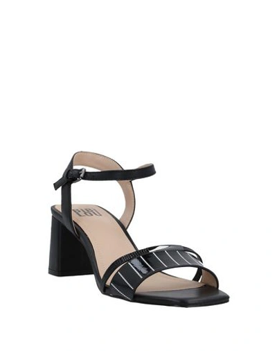 Bibi Lou Sandals In Black