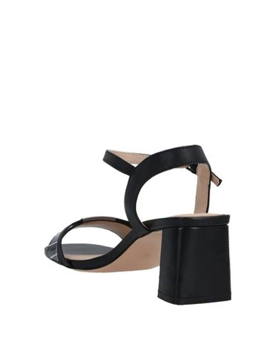 Bibi Lou Sandals In Black