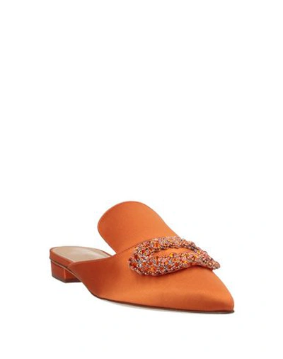 Shop Giannico Woman Mules & Clogs Orange Size 5 Textile Fibers