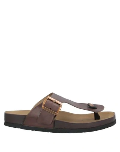 Shop Docksteps Toe Strap Sandals In Dark Brown