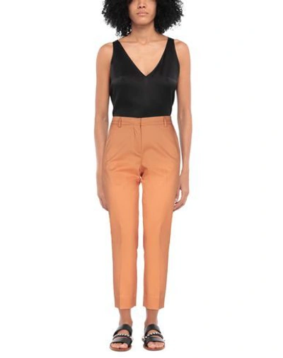 Shop Mauro Grifoni Grifoni Woman Pants Apricot Size 10 Cotton, Elastane In Orange
