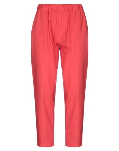 Shop Erika Cavallini Woman Pants Red Size 2 Cotton