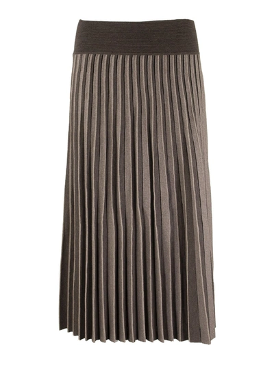 Shop Agnona Pleated Skirt In Brown