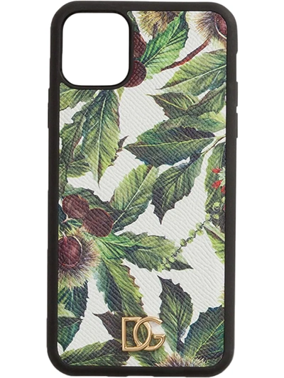 Shop Dolce & Gabbana Chestnut Print Iphone 11 Pro Max Case In White