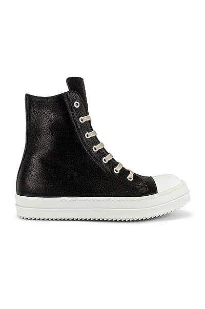 Rick Owens Hi Top Sneaker In Black & White
