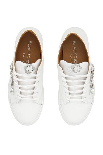 Shop Black Dioniso Flower Sneakers In White