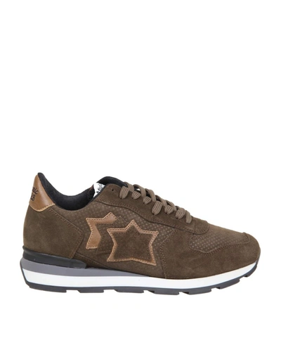 Shop Atlantic Stars Antares Sneakers In Suede In Brown