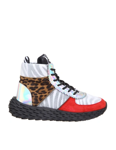 Shop Giuseppe Zanotti Urchin Sneakers With Zebra Print In Multicolor