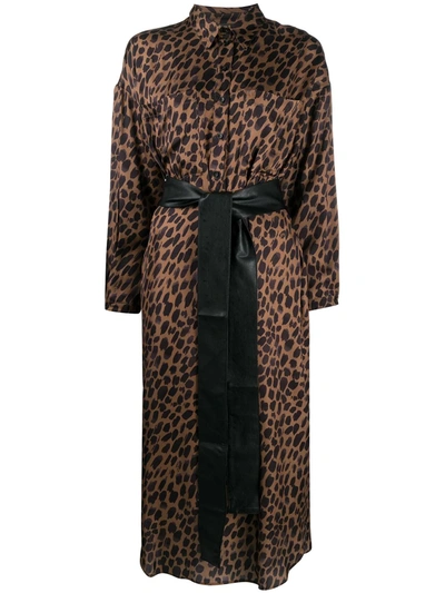 Shop 8pm Leopard Shirt Dress In Brown