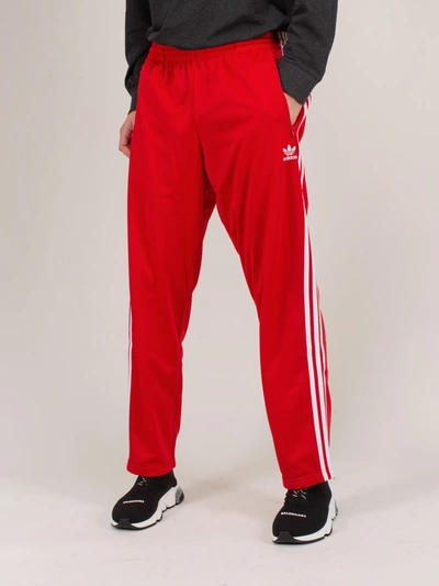 Shop Adidas Originals Fbird Track Pant Scarlet Red