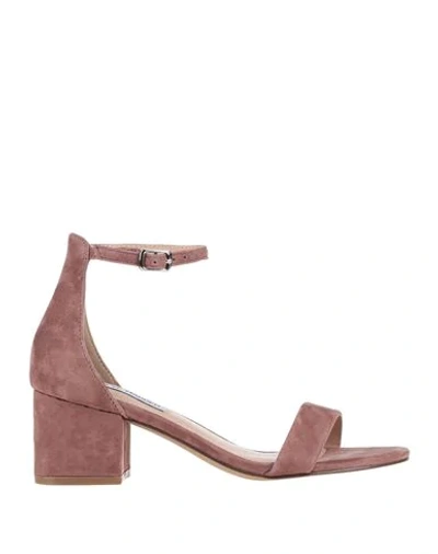 Shop Steve Madden Woman Sandals Pastel Pink Size 8 Leather