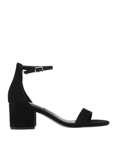 Shop Steve Madden Woman Sandals Black Size 5.5 Soft Leather
