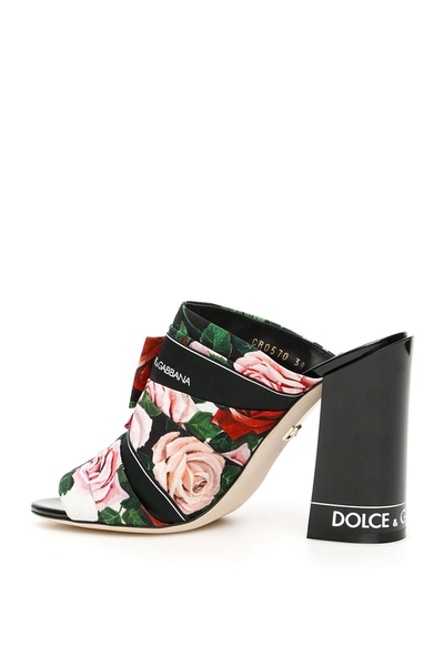 Shop Dolce & Gabbana Keira Mules In Mix Rose Fdo Bco Nat