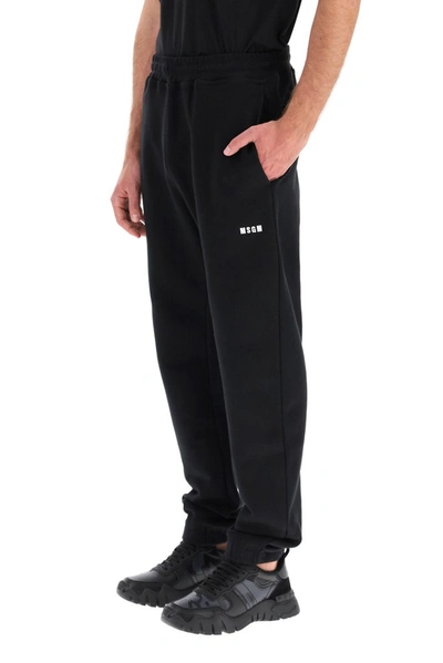 Shop Msgm Elasticated Waist Track Pants In Black